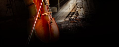 blog_header_action_strings