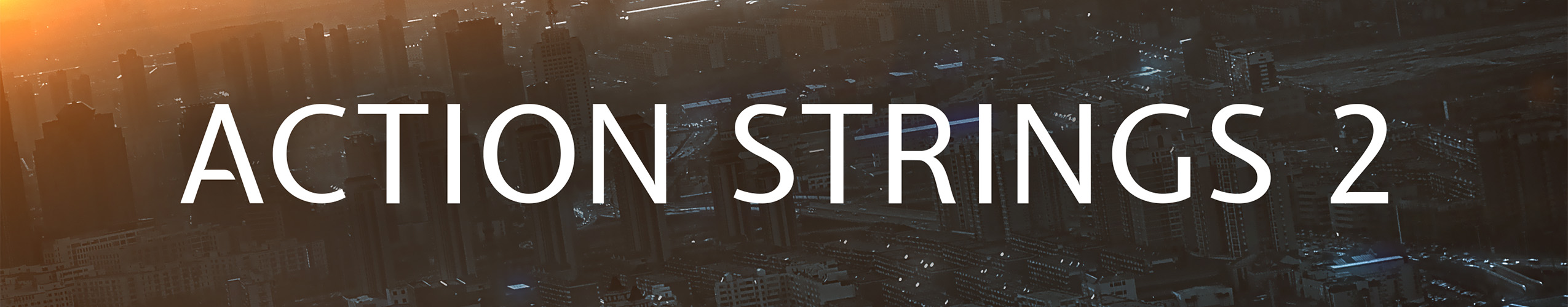 Sonuscore Native Instruments Action Strings 2 Divider